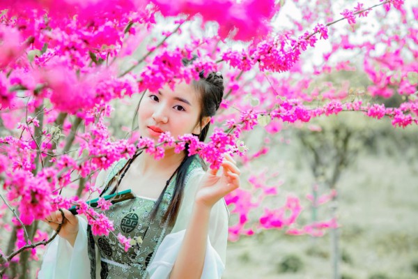 杭州水磨油按摩特色:茶香与技艺的完美融合 杭州水磨油按摩特色:茶香与技艺的完美融合